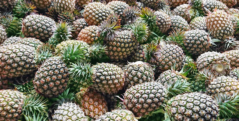 金鑚パイナップル JIn zuan Taiwan Pineapple