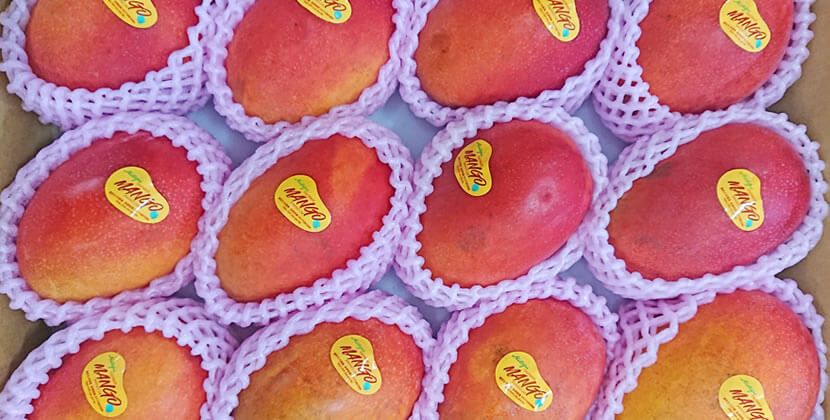 愛文マンゴー Ai Wen Taiwan Mango