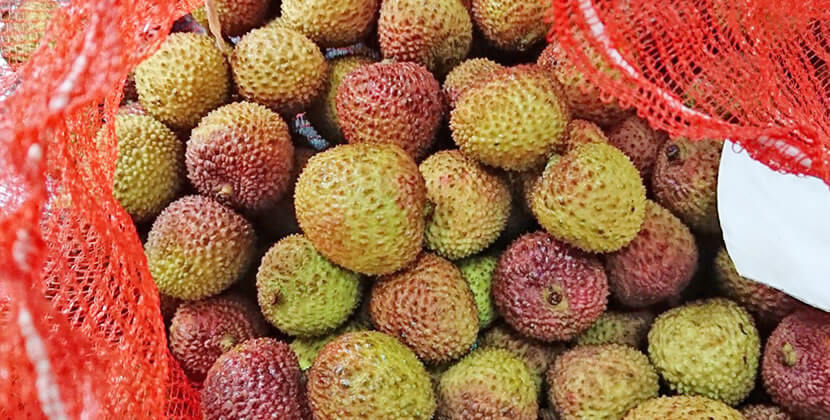 玉荷包ライチ Taiwan Lychee